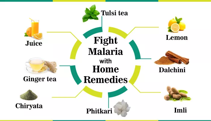 Beneficial home remedies in the Treatment of Malaria