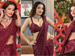 Bhojpuri Actress Monalisa Hot look in red Saree