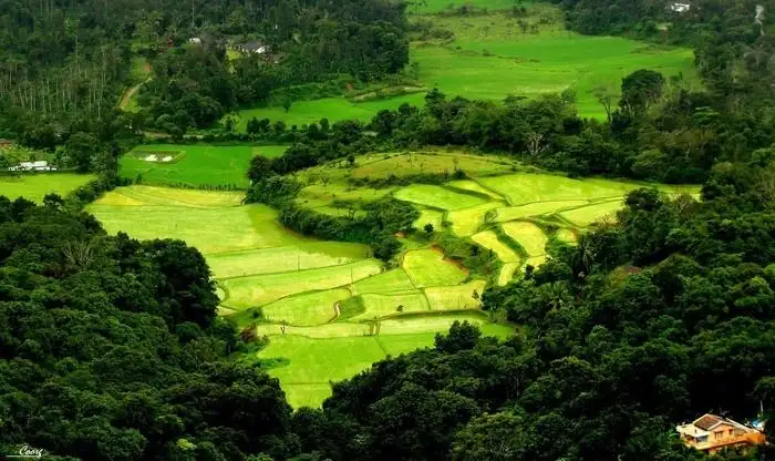 Coorg Tourism