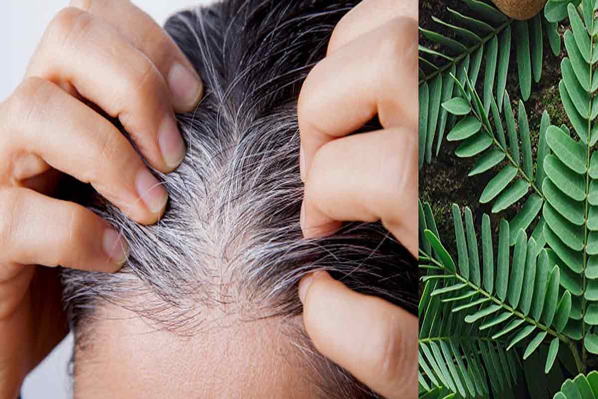 White Hair: चुटकियों में सफेद बालों से पाएं छुटकारा, बस