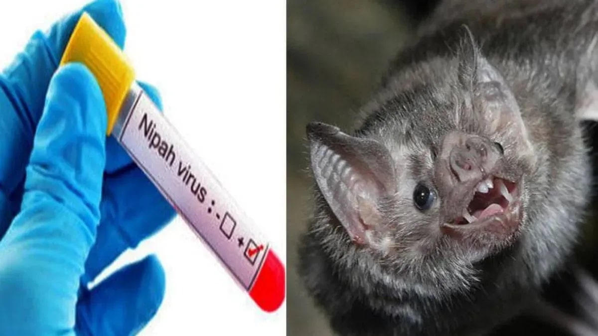 Nipah Virus: केरल में निपाह को लेकर अलर्ट
