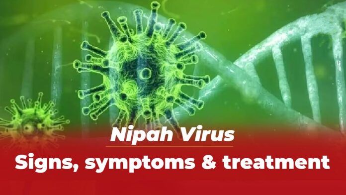 Nipah Virus Outbreak: Top 10 symptoms of the deadly Virus