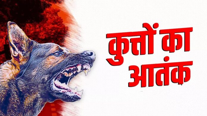 Parag Desai Wagh Bakri Dog Attack