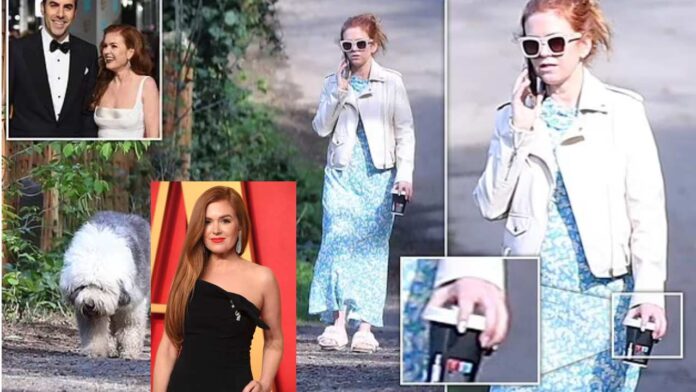 Isla Fisher Spotted Without Wedding Ring Since Sacha Baron