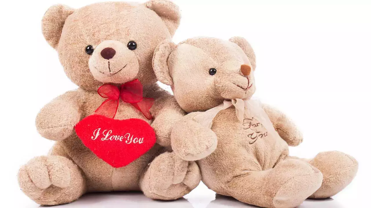Teddy Day (10th February) – A Cute Gesture of Love