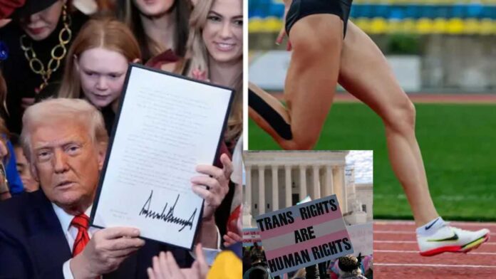 Trump transgender athlete ban