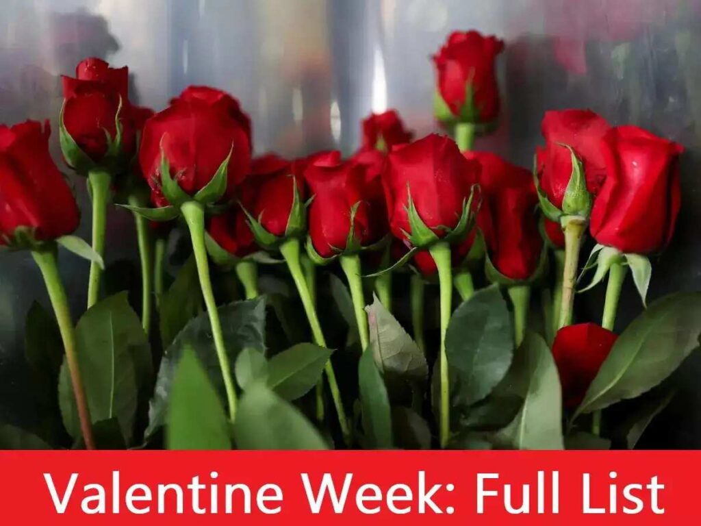 Valentines Week 2025
